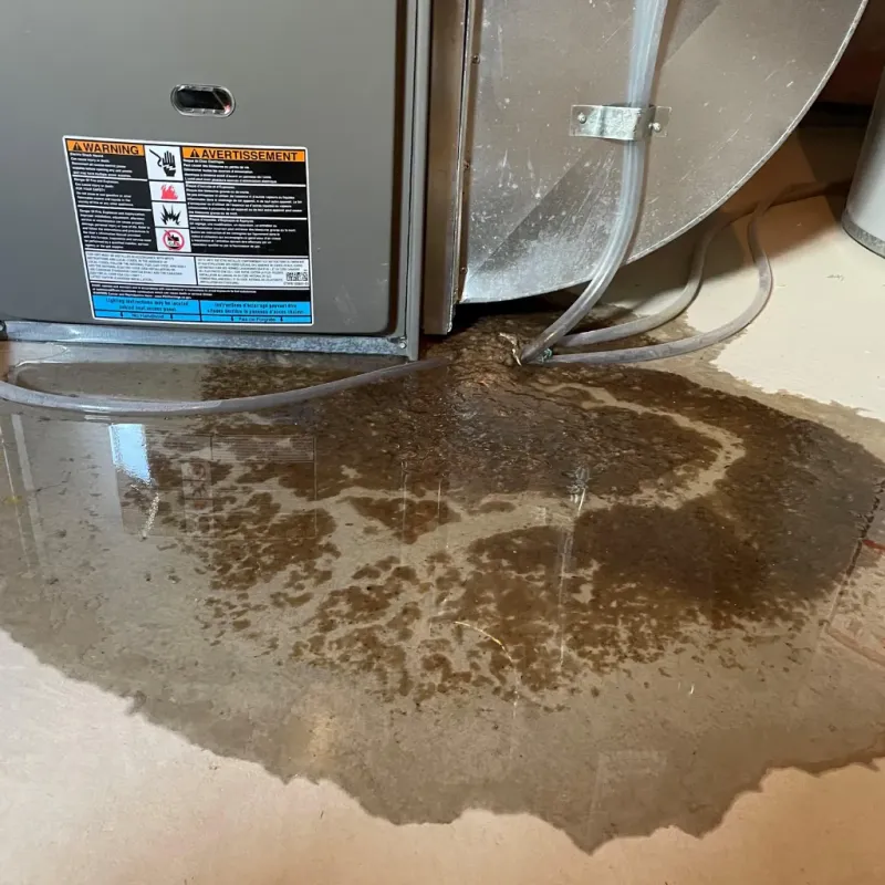 Appliance Leak Cleanup in Forest Glen, MD