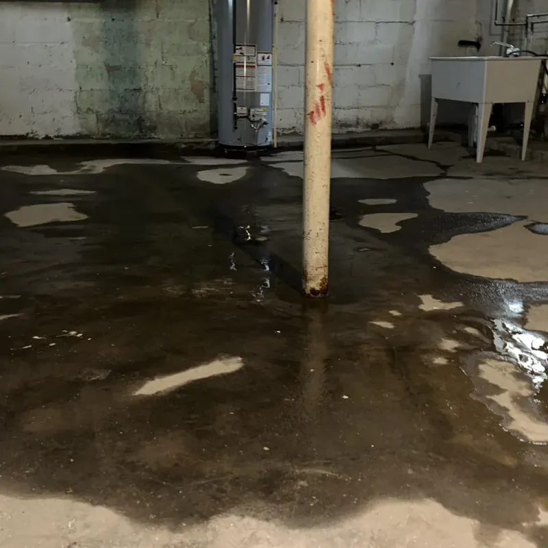 Emergency Water Extraction And Removal in Forest Glen, MD